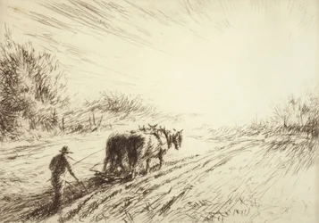 Tidlig pløjning (forår)