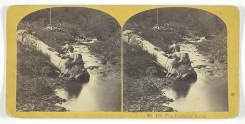 The Babbling Brook, 185575. Skabere: Kilburn Brothers, BW Kilburn.