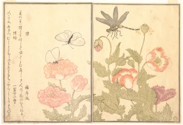 Sommerfugl (Chō); Guldsmed (Kagerō eller Tonbo), fra Billedbogen om krybende væsener (Ehon mushi erami)