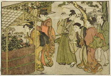 Udstilling af krysantemum, fra den illustrerede bog "Picture Book: Flowers of the Four Seasons (Ehon shiki no hana)," vol. 2