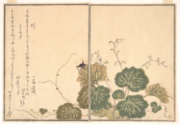 Regnorm (Mimizu); fårekylling (Kōrogi), fra Billedbogen om krybende skabninger (Ehon mushi erami)