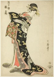 Hinatsuru fra Te-kei Zetsuro