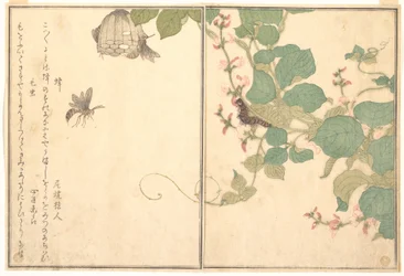 Papirhveps (Hachi); håret larve (Kemushi), fra Billedbogen om krybende skabninger (Ehon mushi erami)