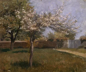 Ingen titel skrevet på dias