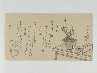 Bonsai-blommetræ på bænk og kasse