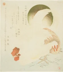 Hane, høne og opgående sol, fra serien "Syv fugle-og-blomstertryk til Fuyo-cirklen i Kanuma i Shimotsuke-provinsen (Yamagawa Shimotsuke Kanuma Fuyo-ren kacho nanaban tsuzuki no uchi)"