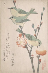 Japanske brillefugle på en gren af et ferskentræ, fra serien En samling fugle (Tori awase), fra surimonoalbummet Forårsregn (Harusame surimono-jō, bd. 3)