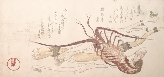 Hummer og grøntsager, 1800-tallet.