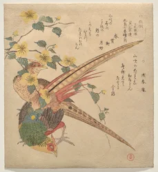 Et par kinesiske fasaner og en gren af yamabuki-blomster