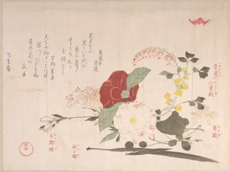 Forårsregnsamling (Harusame shū), bind 2: Afskårne blomster: klematis, buskkløver, iris, kamelia og azalea