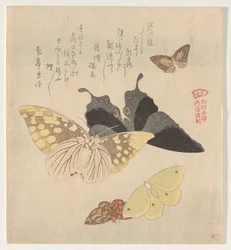 The Painting Manual of Flock of Butterflies (Guncho? Gafu)
