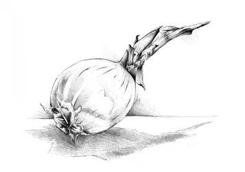 Tegning af et stilleben med løg