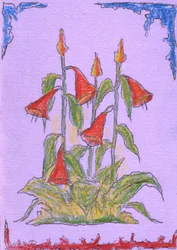 Levende røde blomster