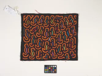 Skjortepanel (Mola) (foto)