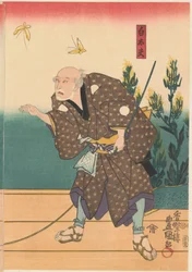 Shirotayû med to sommerfugle