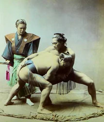 Sumobrydere, ca. 1880 (foto)
