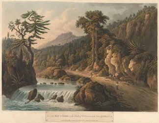 Rio Cobre, fra Six Views in the Island of Jamaica, litografi af I. Merigot