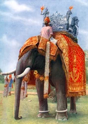En majestætisk elefant ved Bengals vigtigste festlige sammenkomst, Indien, 1922.
