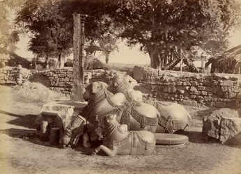 Hellige tyre i Warungal Fort