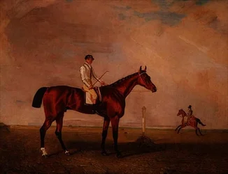 Bay væddeløbshest med jockey på en væddeløbsbane