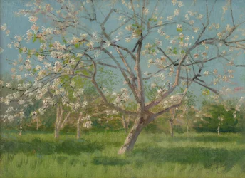 Frugthavetræer i blomst, 1900-10