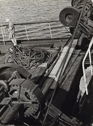 Fotoreporter i det nordarktiske hav