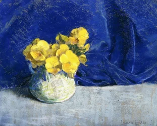 Gule stedmoderblomster