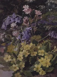Studie af blomster
