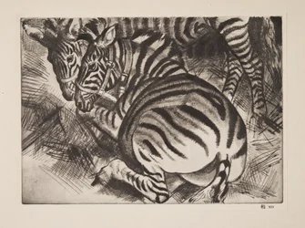 Zebraer, pub. 1930.