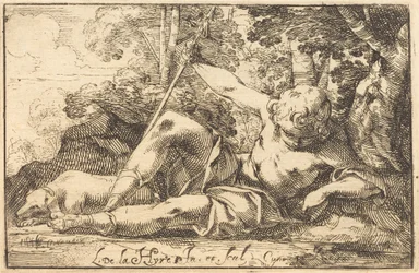Narcissus ved foråret
