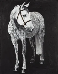 White Horse 2, ca. 2024 (akryl på lærred)