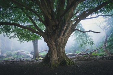 The Light That Waits, 2024 (foto)