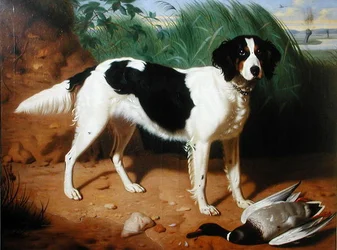 Portræt af en hund (olie på lærred)