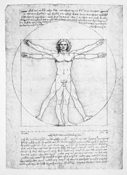 Proportionerne af den menneskelige figur (efter Vitruvius), ca. 1492 (faksimile)