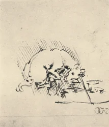 En enhjørning dypper sit horn i vandet, c1480 1945