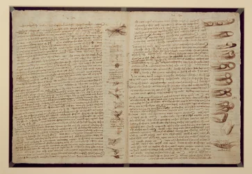 En side fra Codex Leicester, 1508-12 (sepia blæk på hørpapir)