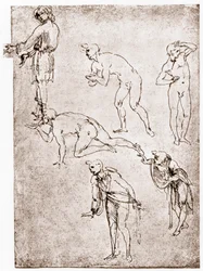 Tilbedelse af hyrderne, c1478-1480.