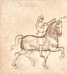 Tegning af en vandrehest, c1472-c1519 1883