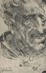 Grotesk hoved af en mand drejet tre kvarter til højre, c1480 1945
