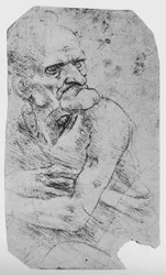 Halv-længde karikatur af en gammel mand med en fremtrædende hage, c1480 1945
