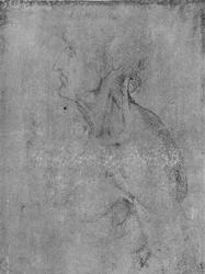 Hoved og buste af en gammel mand til venstre, c1480 1945