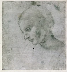 Hoved af en ung kvinde eller hoved af Jomfruen, ca. 1490 (sølvfarvet punktur på papir)