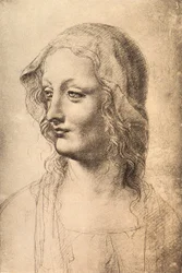 Leder af en ung kvinde, tegning af Leonardo da Vinci, Cabinet of Drawings and Prints, Uffizi, Firenze
