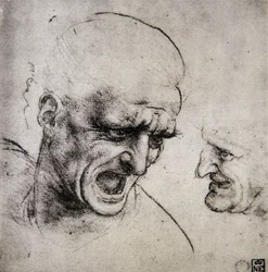 Leonardo da Vinci (Leonardo da Vinci) (1452 - 1519): Studie til slaget ved Anghiari (Imagine)