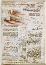 Leonardo da Vinci - RCIN 912660, Studier af vand ca. 1510-1512, 745082-1634741785