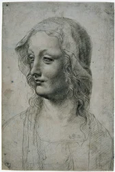 Maestro della Pala Sforzesca (milanesisk elev af Leonardo da Vinci), kvindeligt hoved med slør måske et studie for Jomfruen, GDSU 426 E