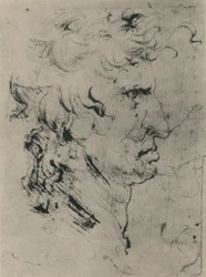 Profil af en mand til højre, c1480 1945