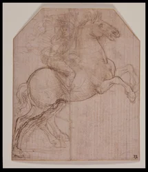 Rytter på opfostringshest, ca. 1481-82 (sølvspids, pen og brunt blæk på forberedt papir)