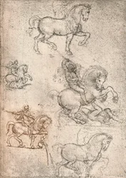 Studie til Sforza-monumentet, c1482-c1499 1883
