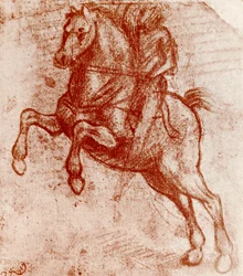 Study of a Knight, af Leonardo De Vinci, 1913